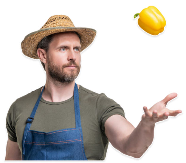 Description de l'image