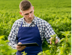 The Benefits of Direct Farm Sourcing: Quality, Freshness, and Cost Savings