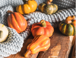 Seasonal Produce Guide: What to Expect and How to Prepare